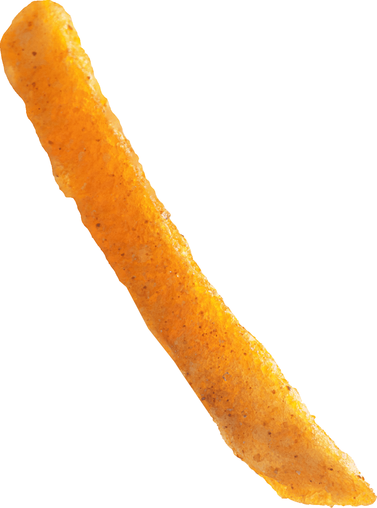 a yummmy, crispy french fry
